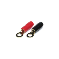 Caliber PT10.6 -2x aansluitoog 10mm2 - gat diameter 6mm