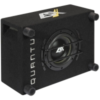 ESX QXB6 - 250 Watt RMS vermogen - 2x 2 Ohm impedantie - Downfiring mogelijkheid