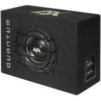 ESX QXB8 - 400 Watt RMS vermogen - 2x 2 Ohm impedantie - Downfiring mogelijkheid