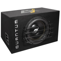 ESX QXB12 - 1000 Watt RMS vermogen - 2x 2 Ohm impedantie