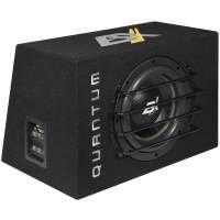 ESX QXB10 - 600 Watt RMS vermogen - 2x 2 Ohm impedantie