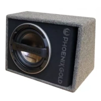 Phoenix Gold Z110ABv2 actieve 10 inch bassreflex kist 80 watts RMS