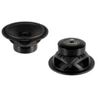 ESX VPX6.2W - 2 x 125 Watt RMS vermogen - 4 Ohm impedantie