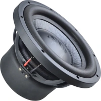 GZUW 10SQ-D2 25 cm subwoofer - 2x 2Ohm - 450 Watt RMS