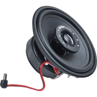 GZCS 12CX - 2x 60 Watt RMS - 4 Ohm impedantie