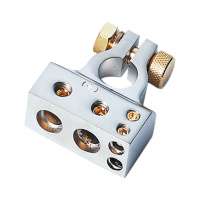 ACV 30.4000-04S - Accupool (+) POSITIVE (ZILVER ) 1 X 35 MM²/1 X 20 MM²/2 X10MM²