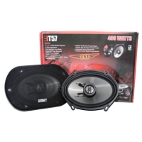 Earthquake TNT T-57 - 2x 65 Watt RMS vermogen bij 4 Ohm impedantie (met roosters)
